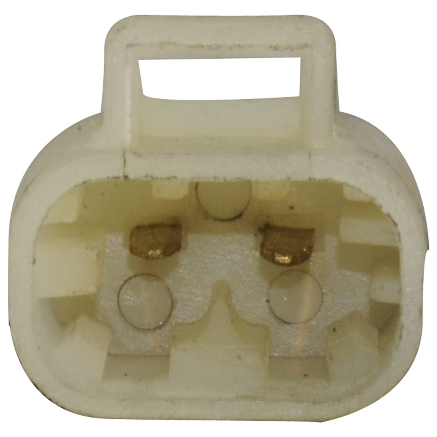 Connector View of Rear Left Power Window Motor and Regulator Assembly CONTINENTAL WL42060