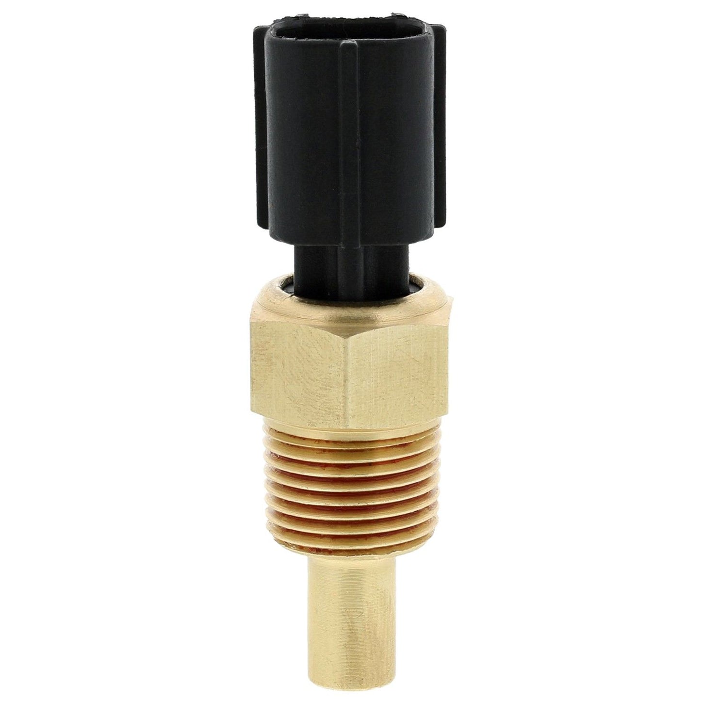 Back View of Engine Coolant Temperature Sensor MOTORAD 1TS1003