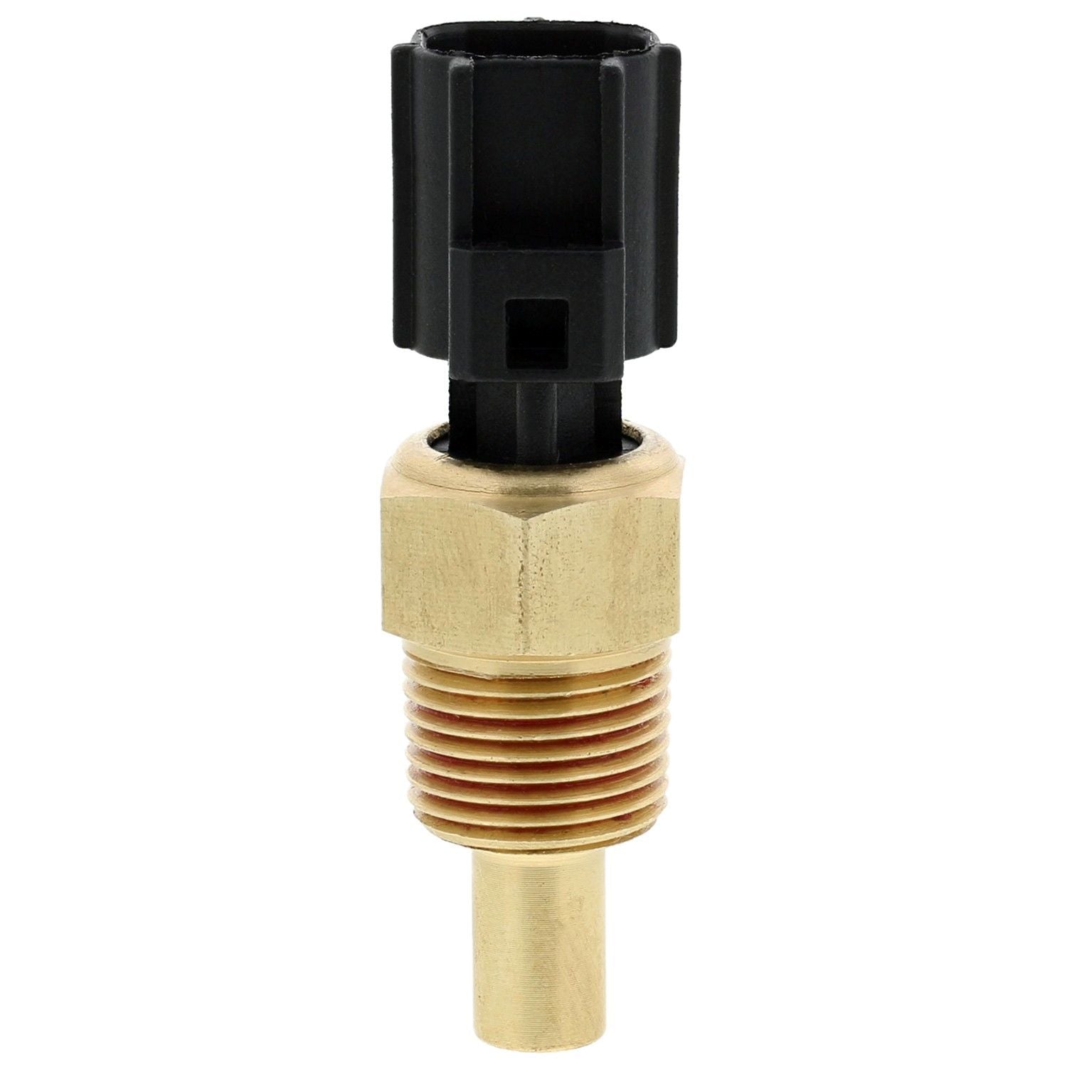 Front View of Engine Coolant Temperature Sensor MOTORAD 1TS1003