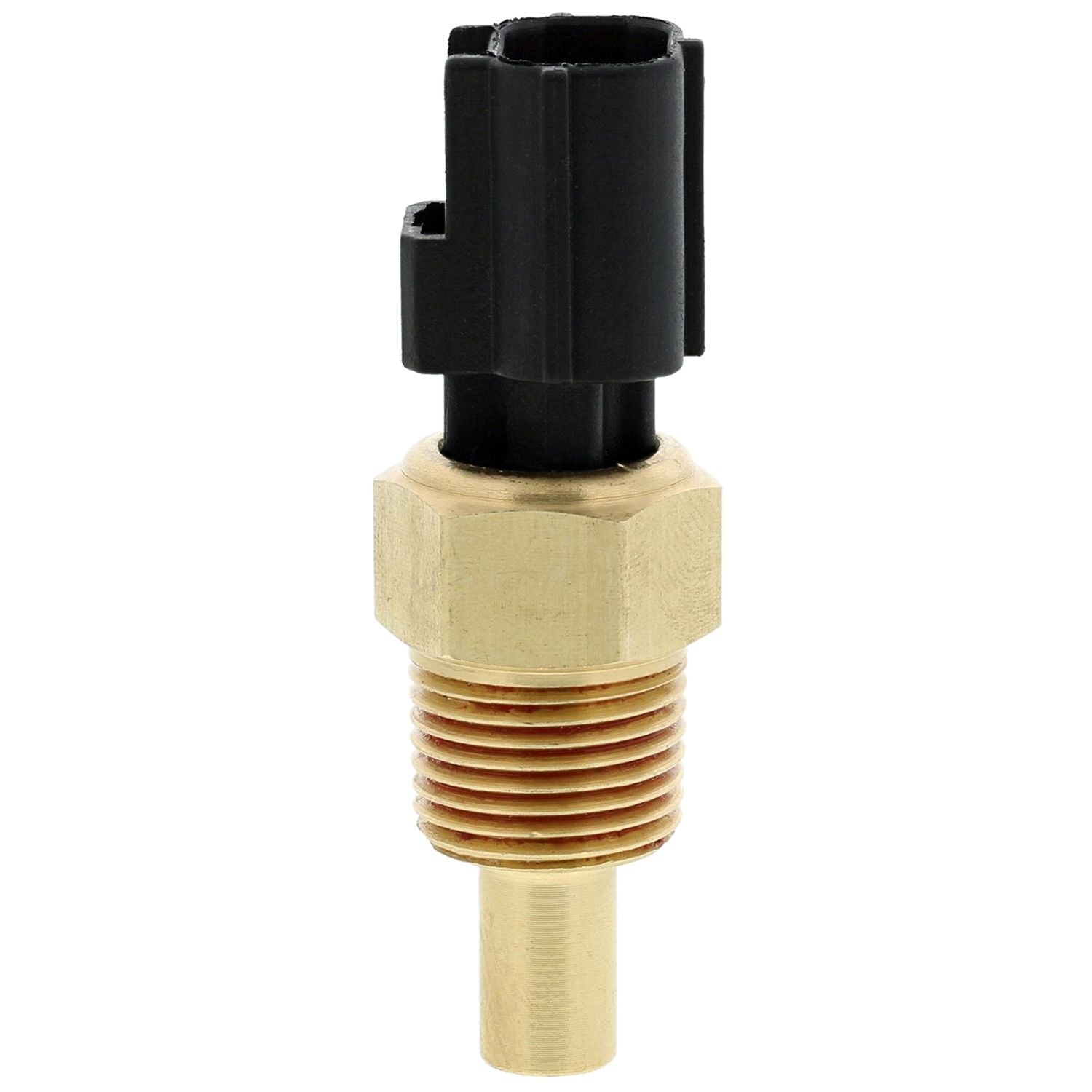 Left View of Engine Coolant Temperature Sensor MOTORAD 1TS1003