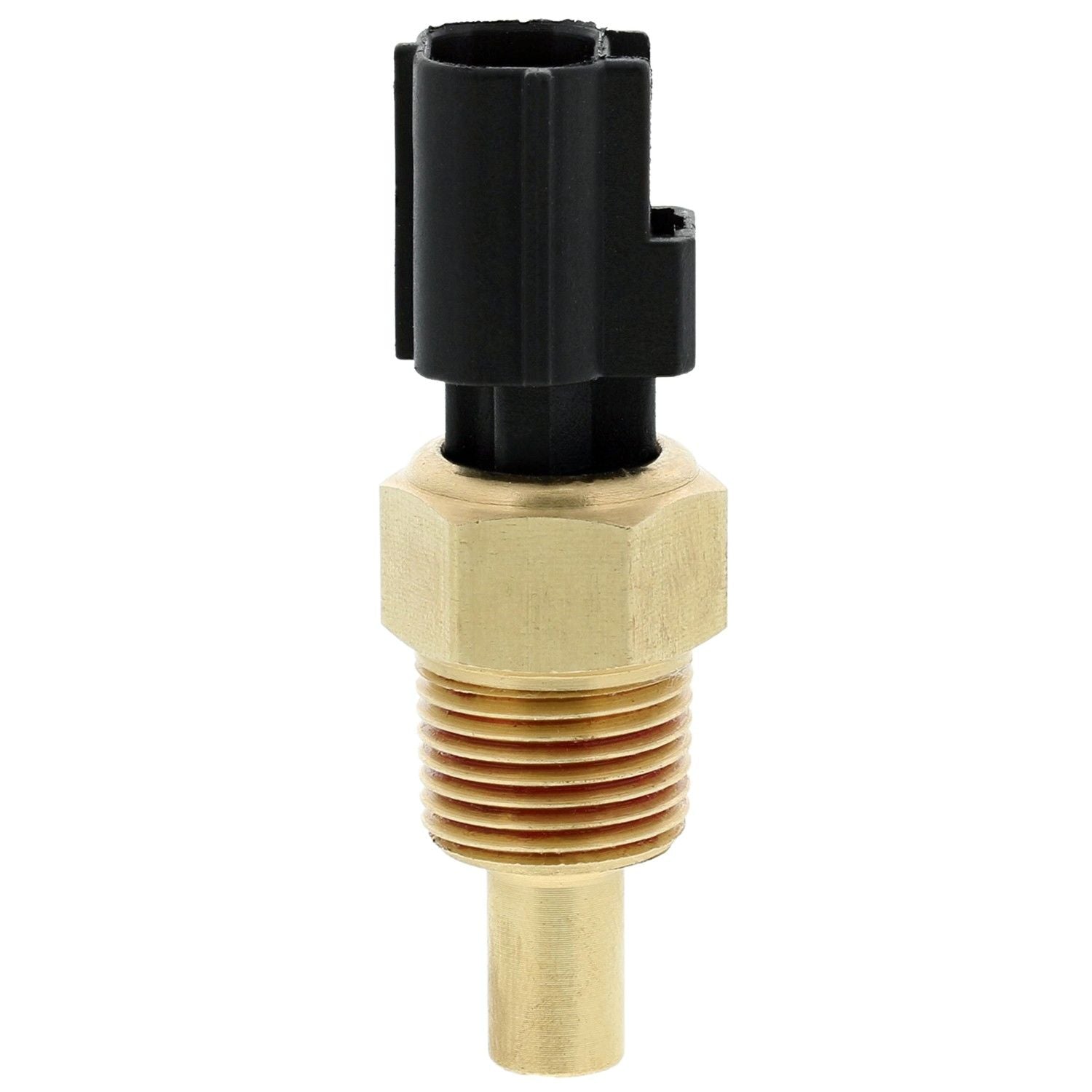 Right View of Engine Coolant Temperature Sensor MOTORAD 1TS1003