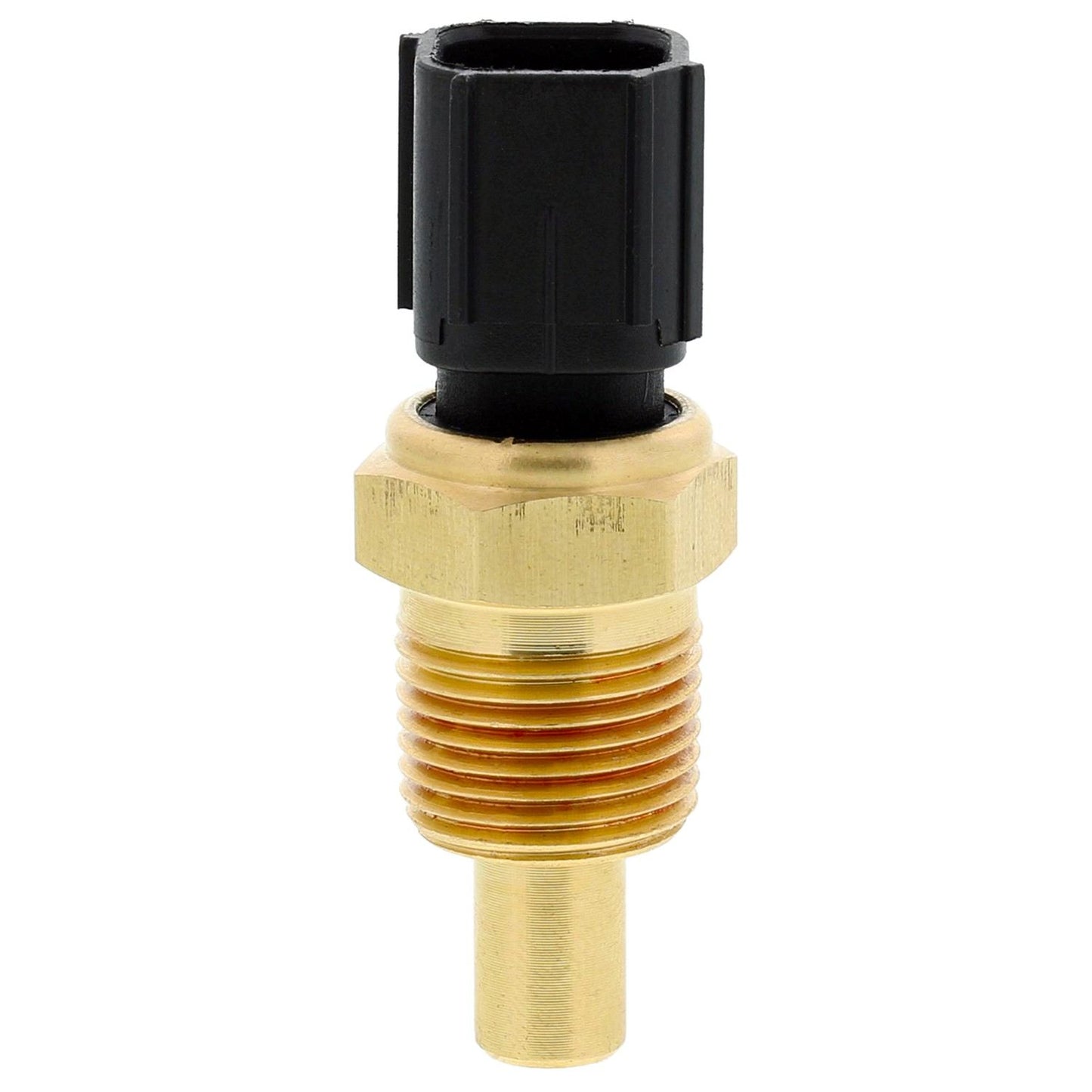 Back View of Engine Coolant Temperature Sensor MOTORAD 1TS1007