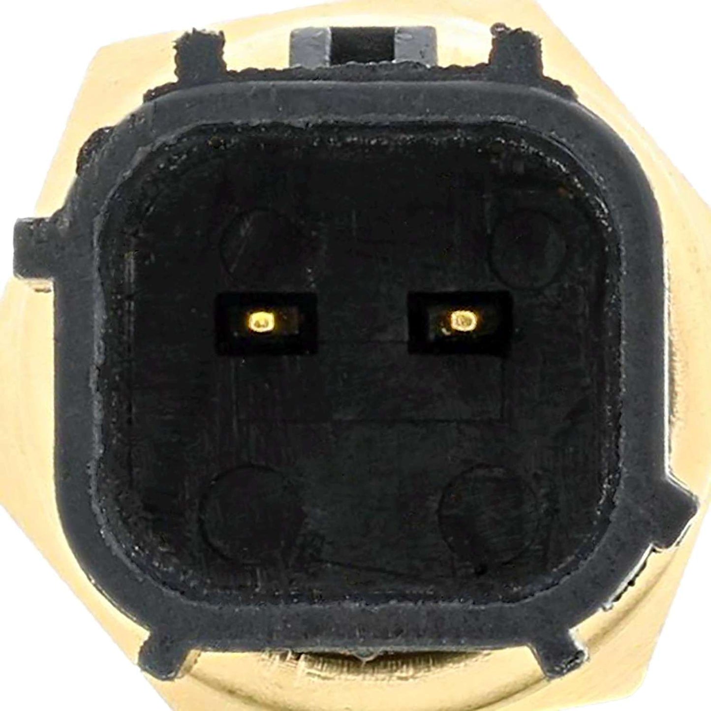 Connector View of Engine Coolant Temperature Sensor MOTORAD 1TS1007