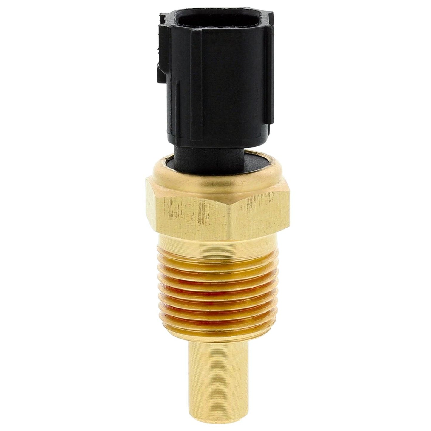 Left View of Engine Coolant Temperature Sensor MOTORAD 1TS1007