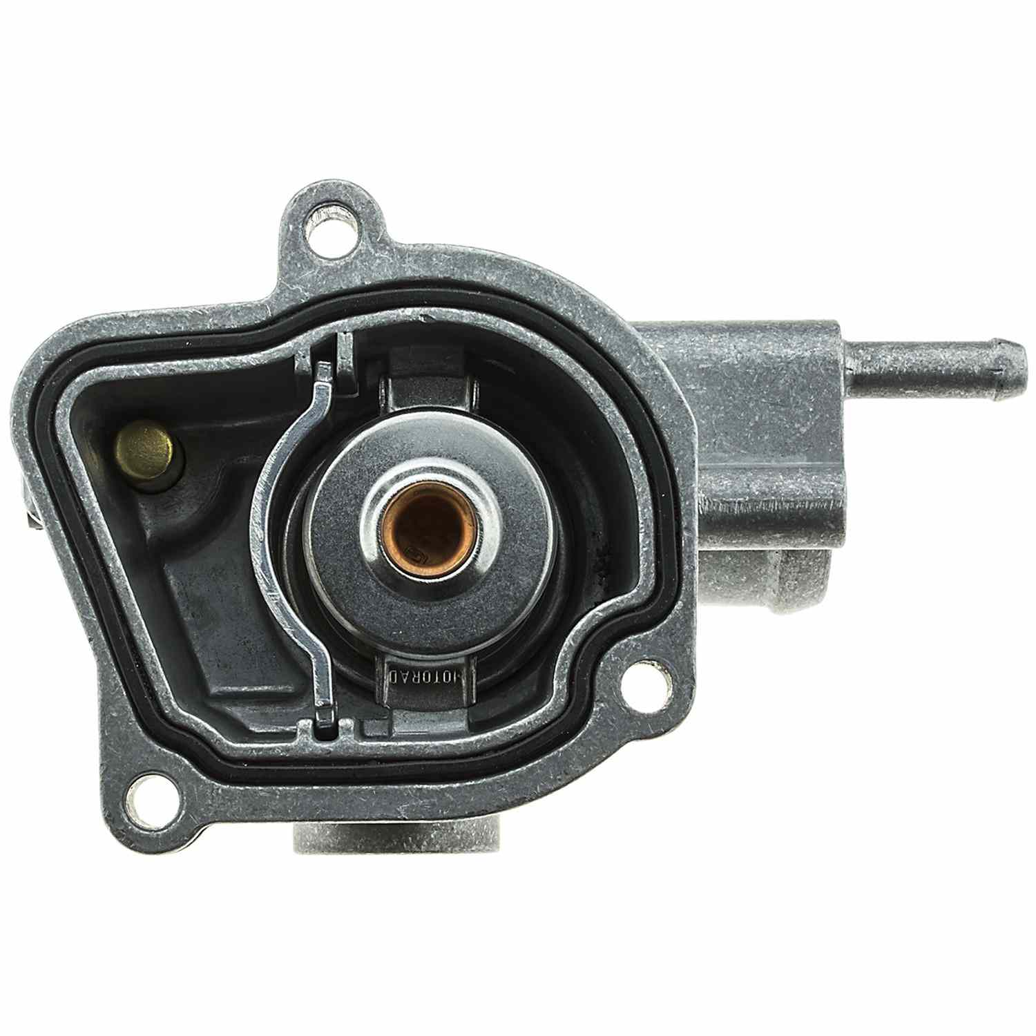 Bottom View of Engine Coolant Thermostat Housing Assembly MOTORAD 501-189