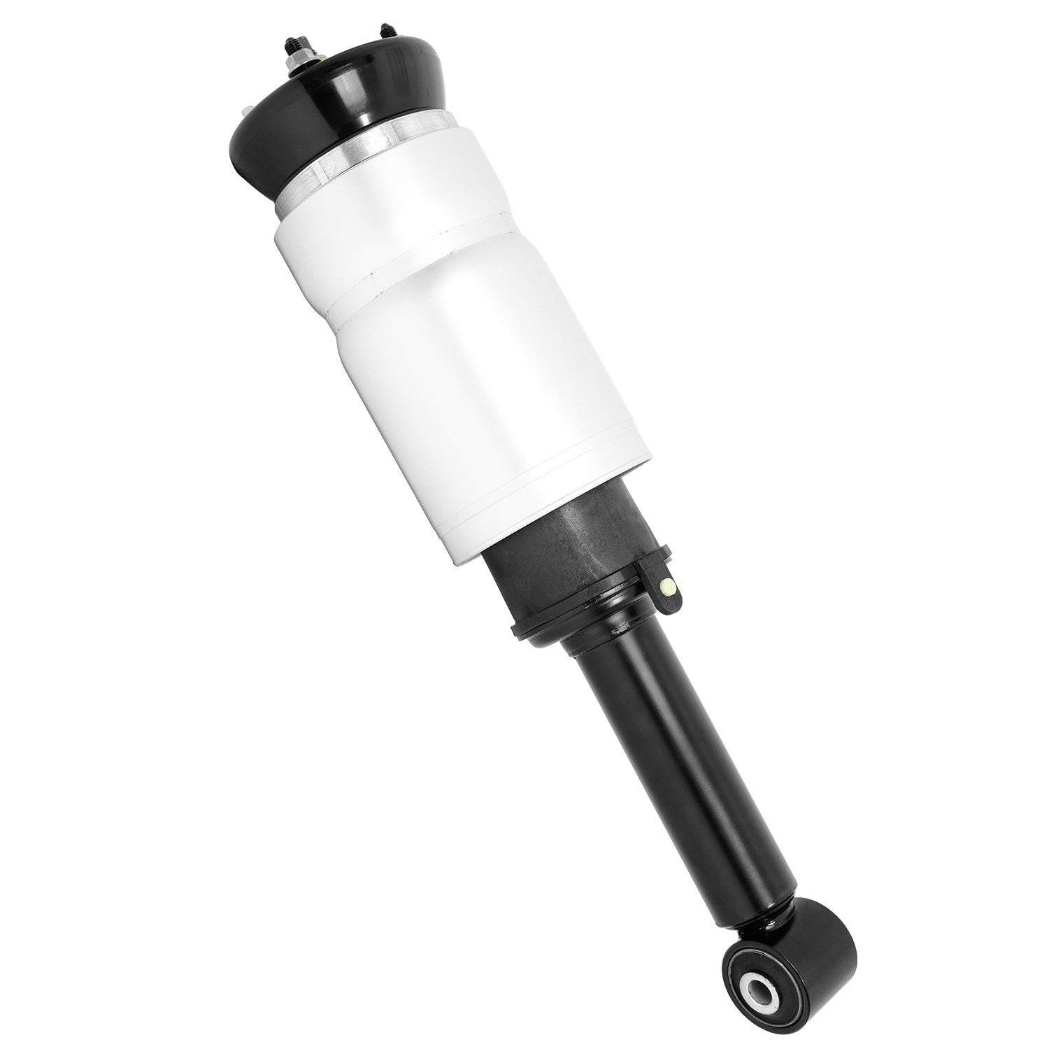 Angle View of Rear Air Suspension Strut UNITY 18-573000