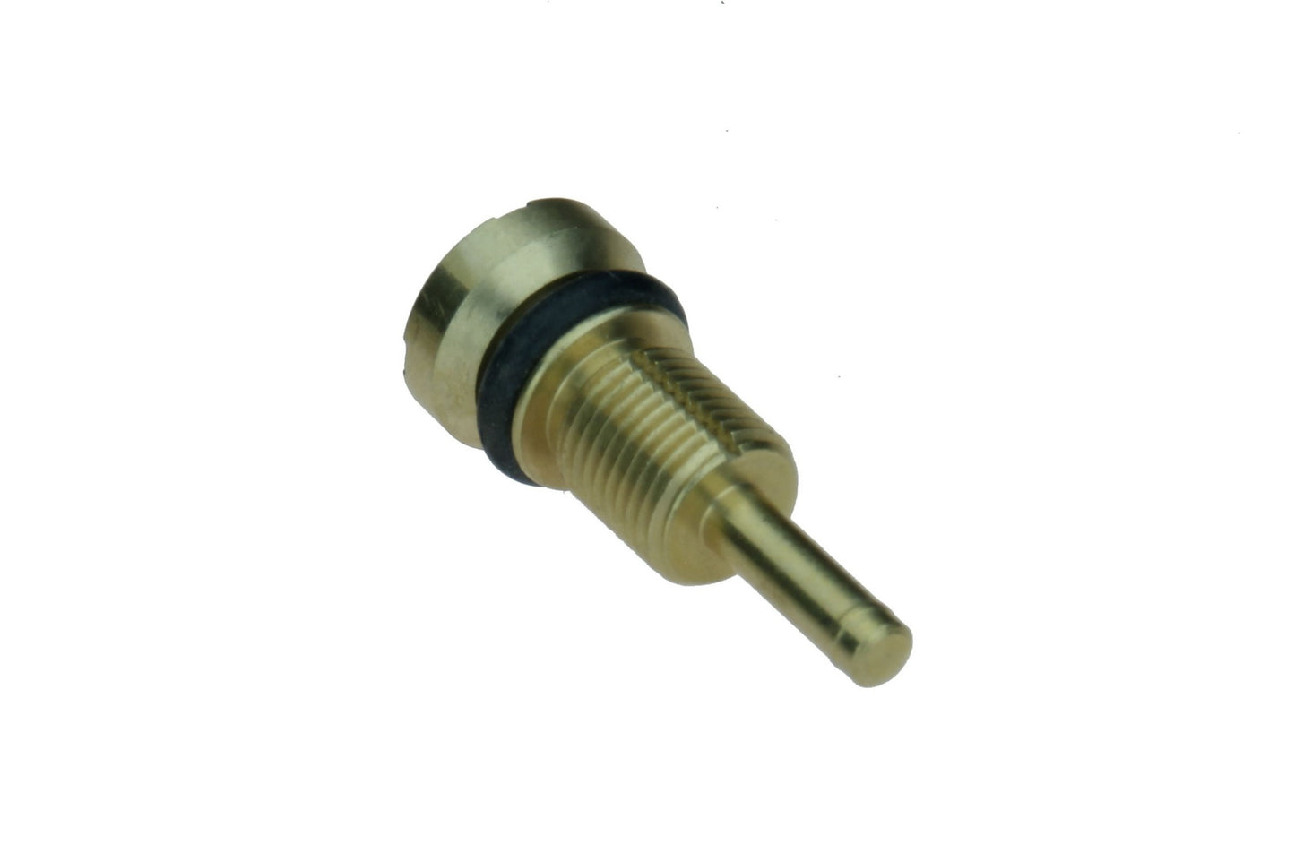 Left View of Radiator Drain Plug URO 17117530902PRM