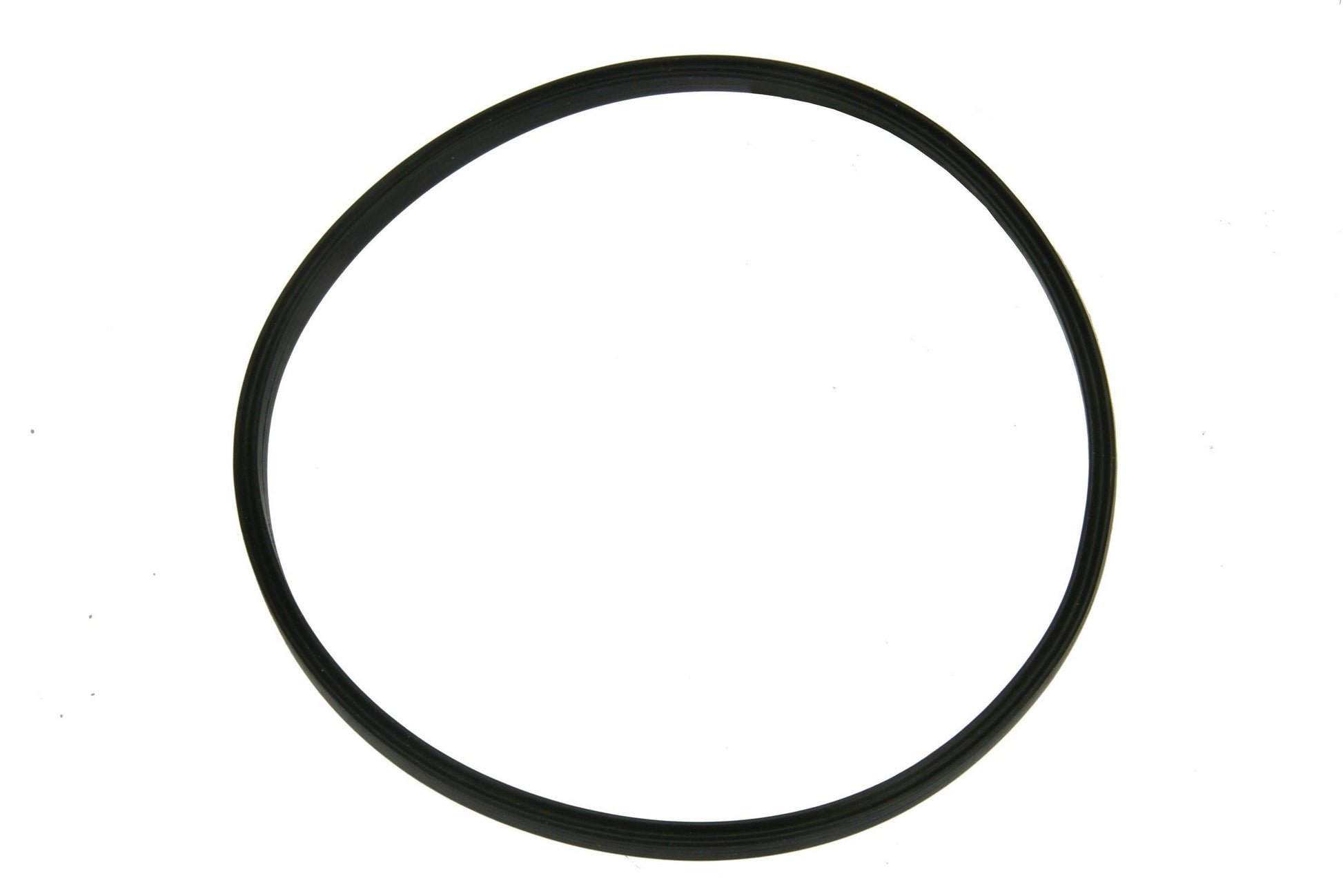 Front View of Fuel Pump Seal URO NI0515878