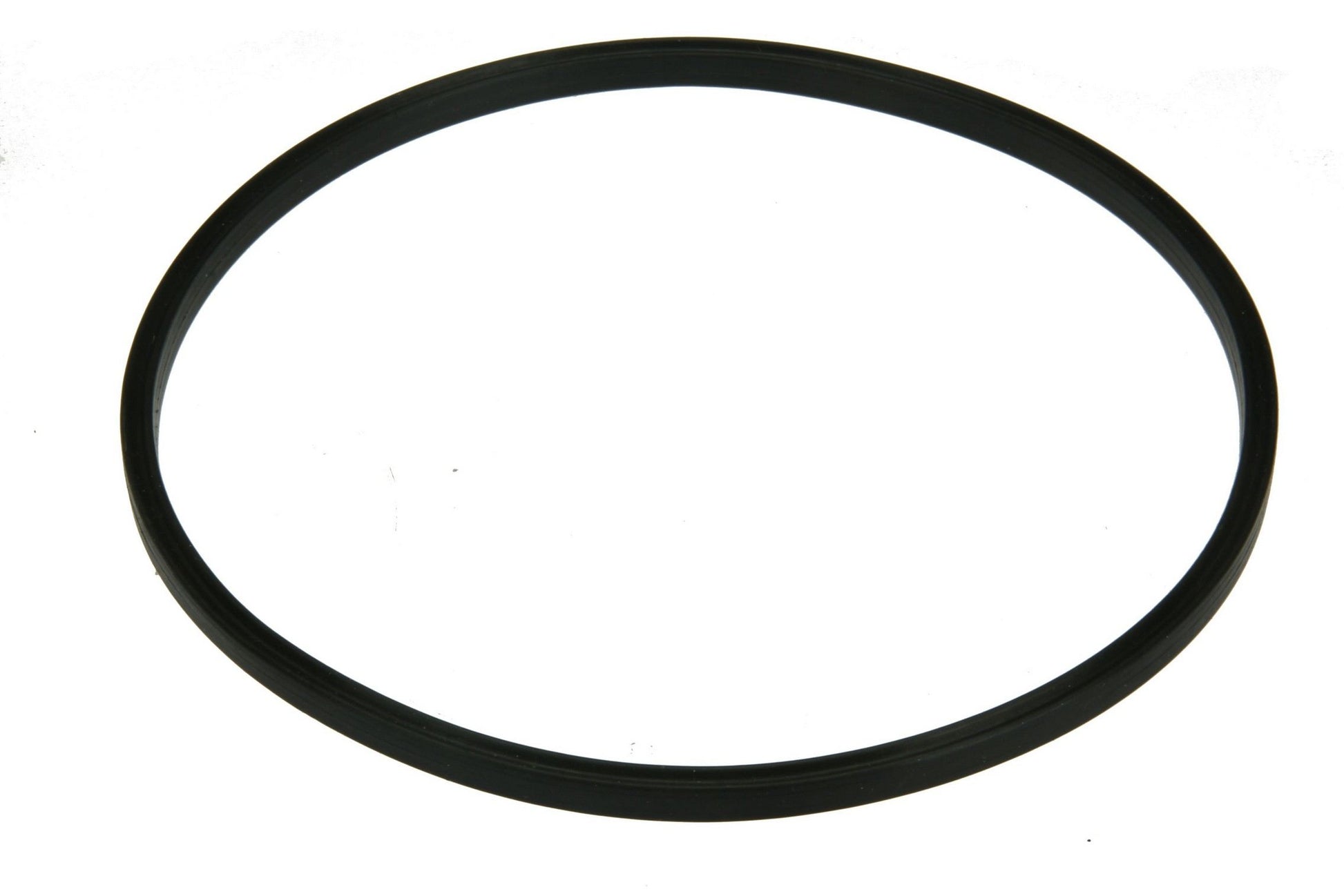 Left View of Fuel Pump Seal URO NI0515878