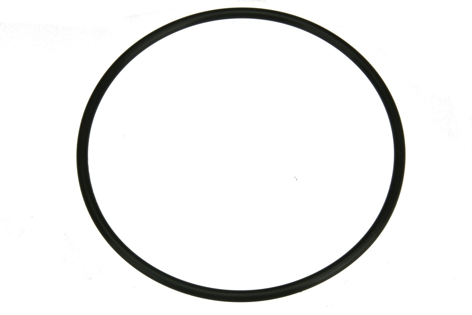 Front View of Fuel Pump Seal URO NI0515880