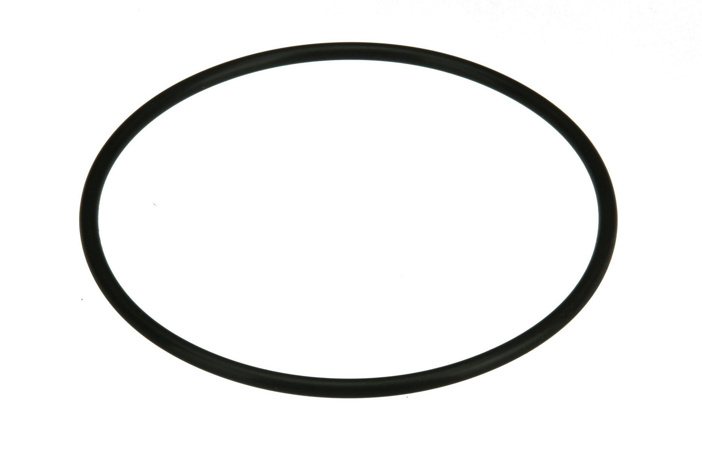 Side View of Fuel Pump Seal URO NI0515880