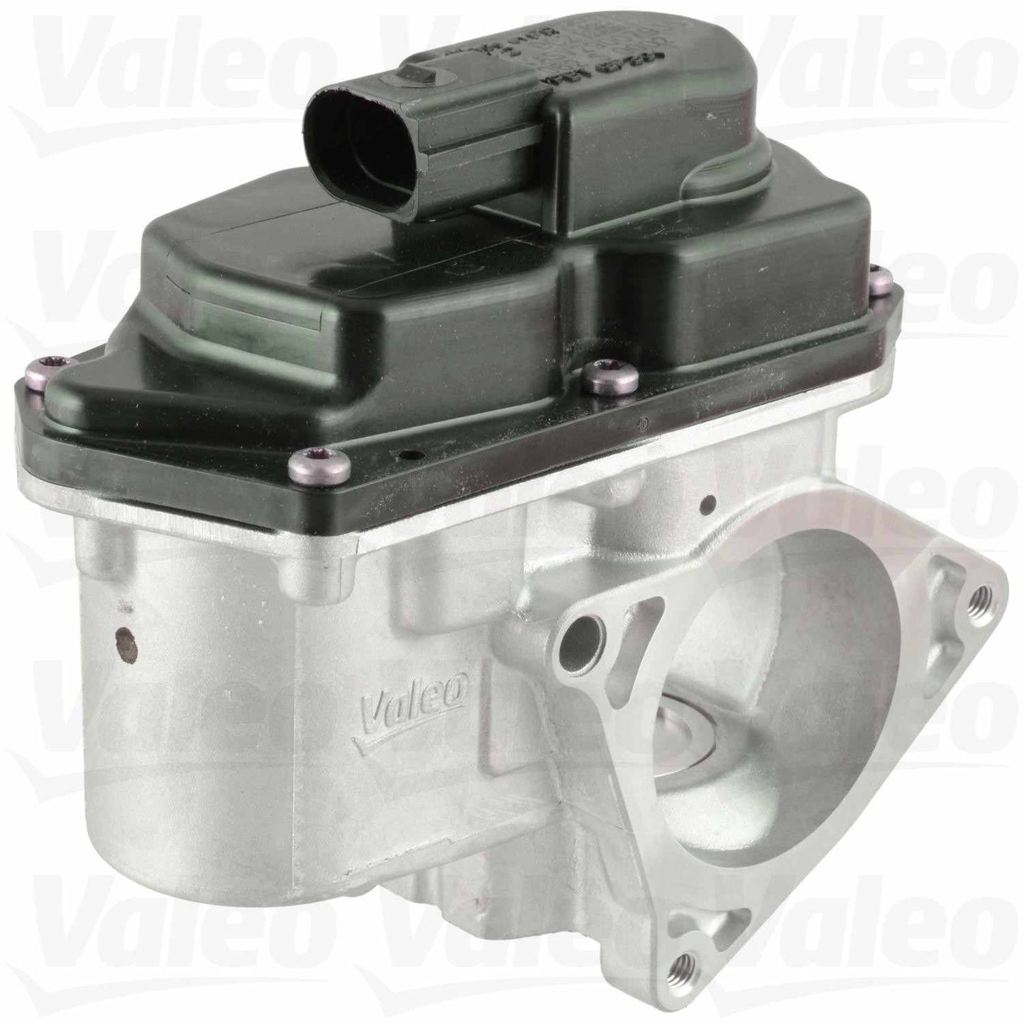 Angle View of EGR Valve VALEO 700424