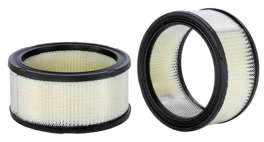 Front View of Air Filter WIX 42110