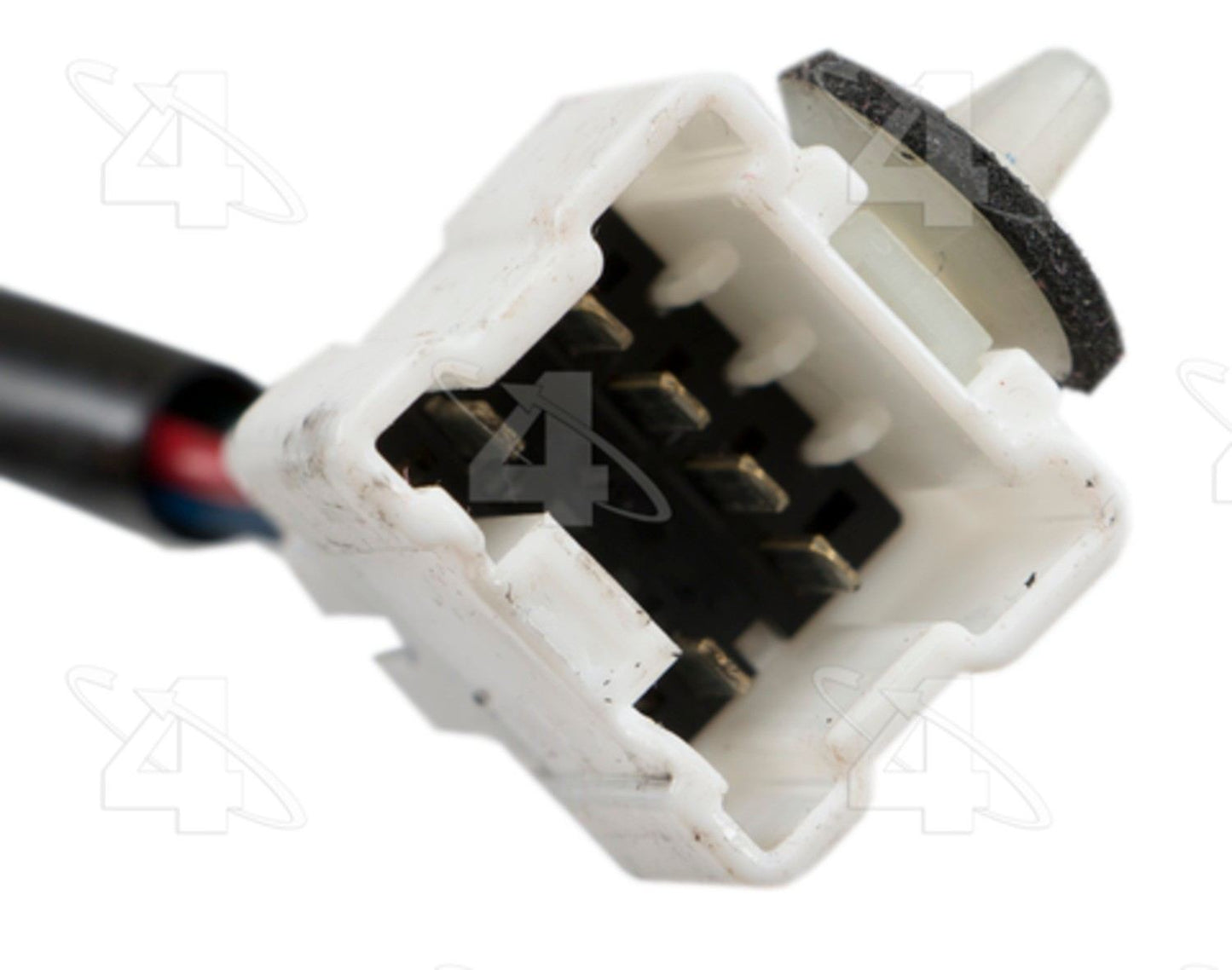 Connector View of Front Right Power Window Motor and Regulator Assembly ACI 388615