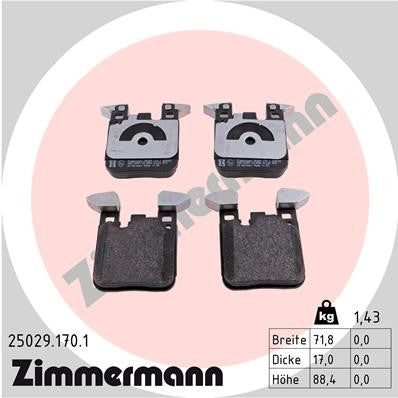 Front View of Rear Disc Brake Pad Set ZIMMERMANN 25029.170.1