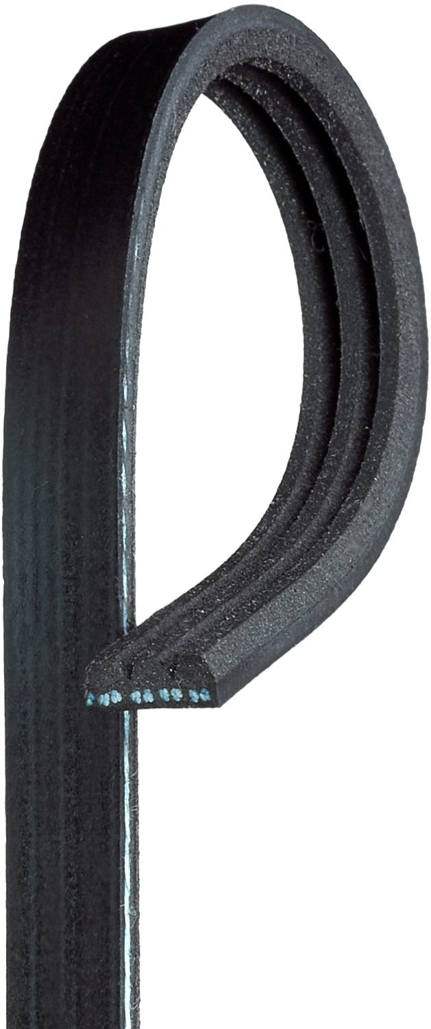 Front View of Serpentine Belt GATES K030245