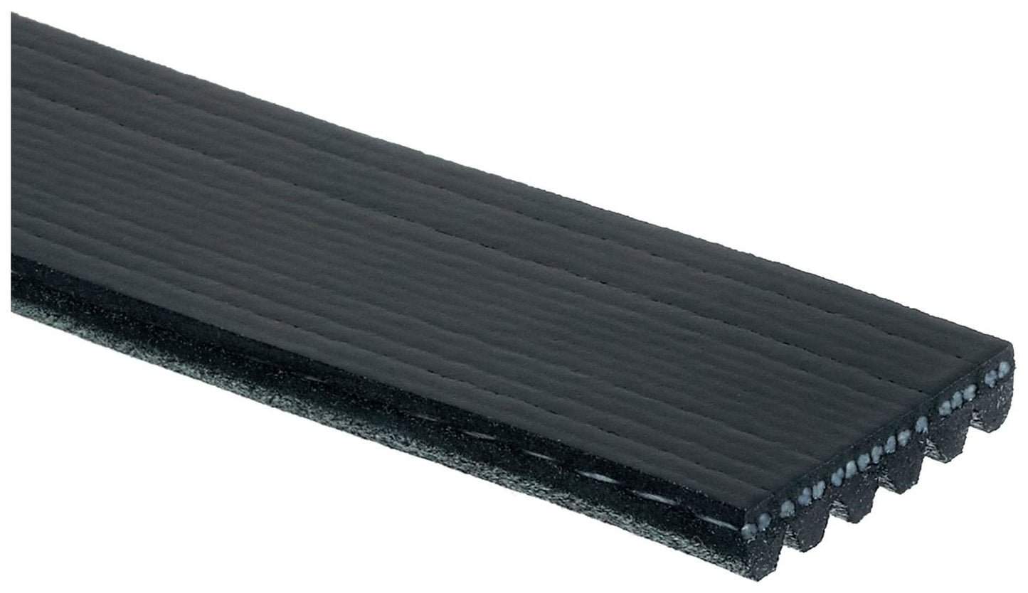 Angle View of Serpentine Belt GATES K060281SF