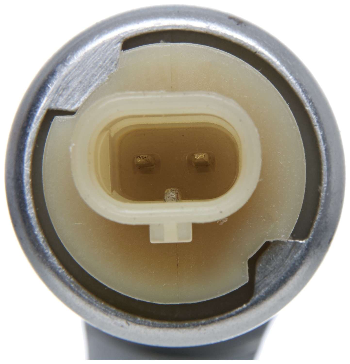 Connector View of Engine Variable Valve Timing (VVT) Solenoid GATES VVS238