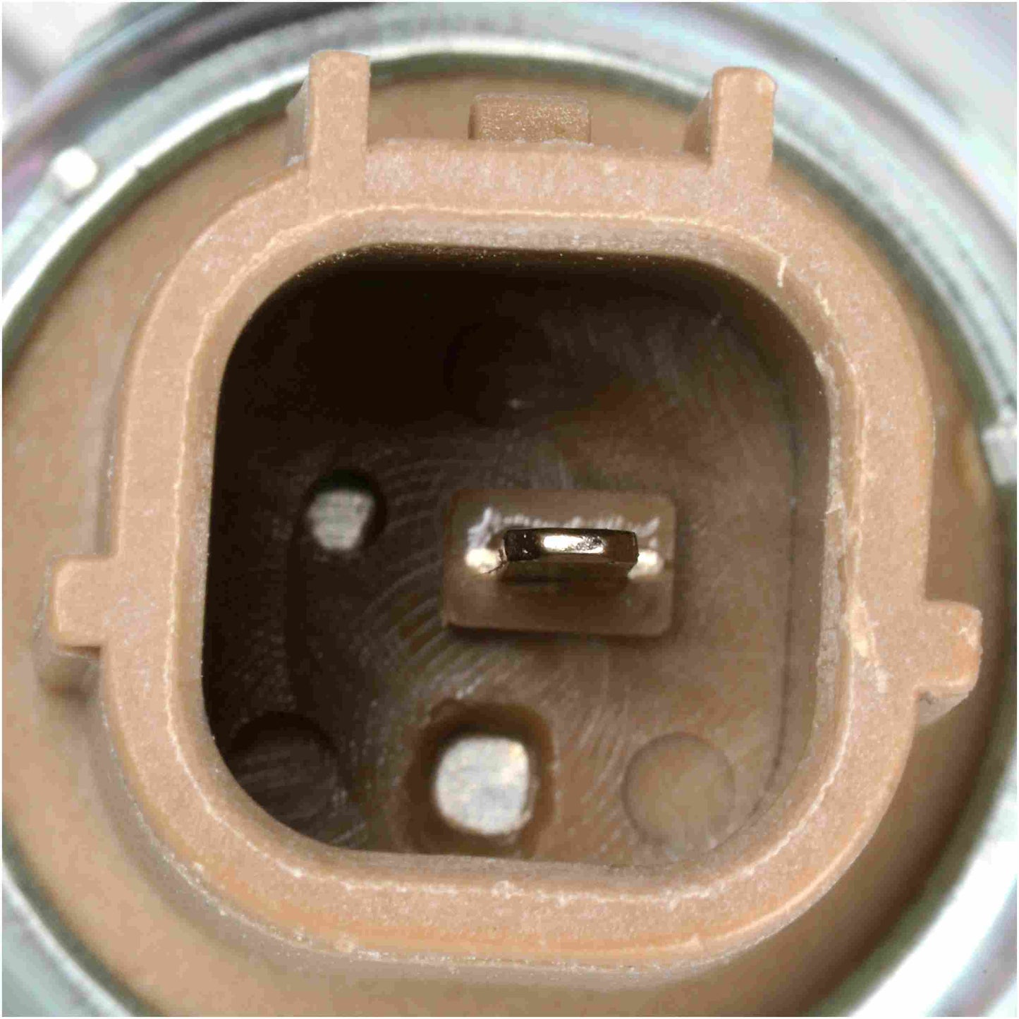 Connector View of Front Engine Variable Valve Timing (VVT) Solenoid GATES VVS320