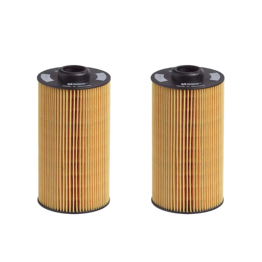Set of 2 OEM HENGST Oil Filter E202H01D34 For BMW 4.4L 540i 740i 750i E38 E39 X5